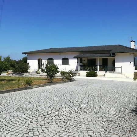 Casa Dos Lacos Viseu Exterior photo