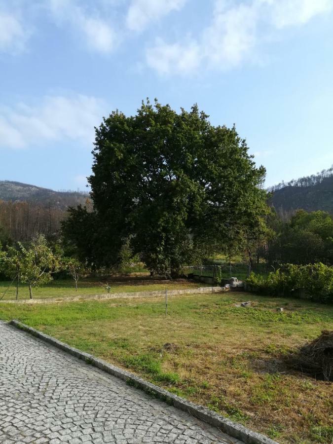 Casa Dos Lacos Viseu Exterior photo